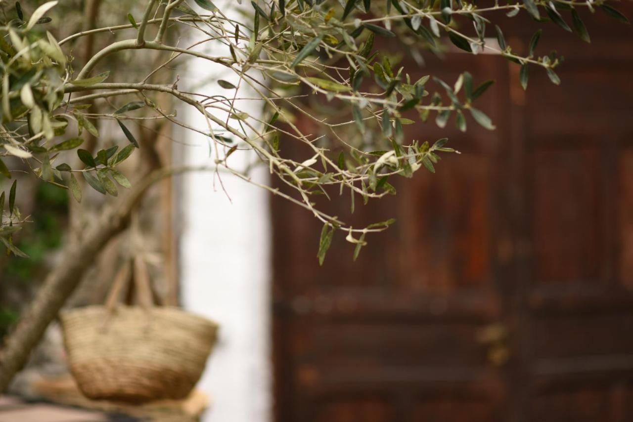 Atelier Boutique Hotel Shkodër Exteriér fotografie